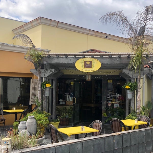 Yellow Vase South Redondo Beach 26 tips from 735 visitors