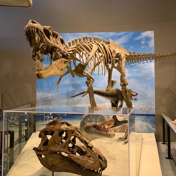3/31/2019에 Kim D.님이 Natural History Museum of Utah에서 찍은 사진