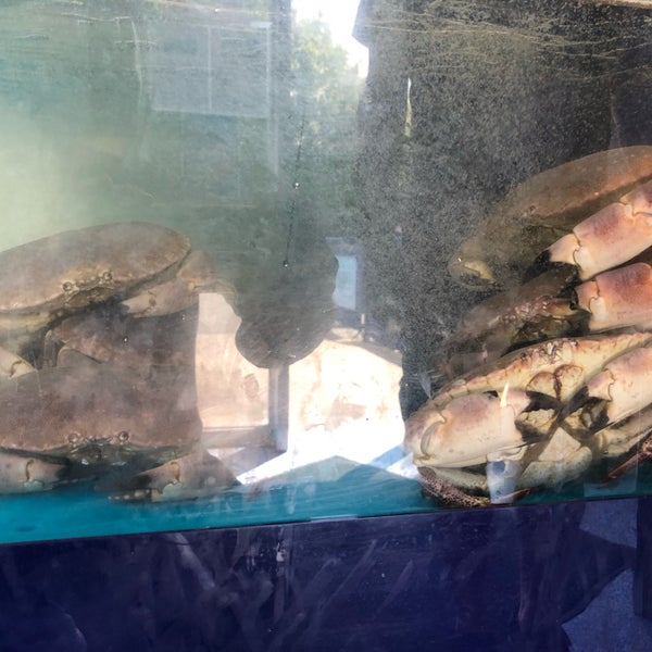 Роспорт тюмень магазин рыба. Рыба шопинг 5лащлеавьрк.