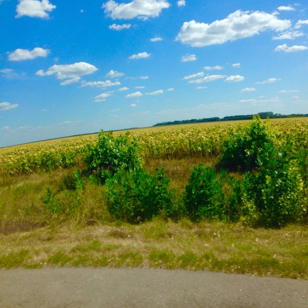 Село байраки. Село байрак. Церковь на байраке в горловке. Байрак курганская область деревня. Деревня байрак кемеровская область.