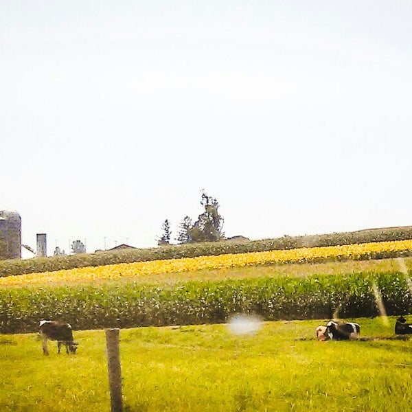 Quarryville, PA 4 tips