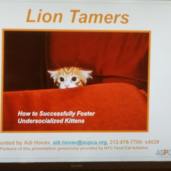 Photos At Aspca Adoption Center Yorkville 32 Tips From 1803 Visitors Photos At Aspca Adoption Center Yorkville 32 Tips From 1803 Visitors