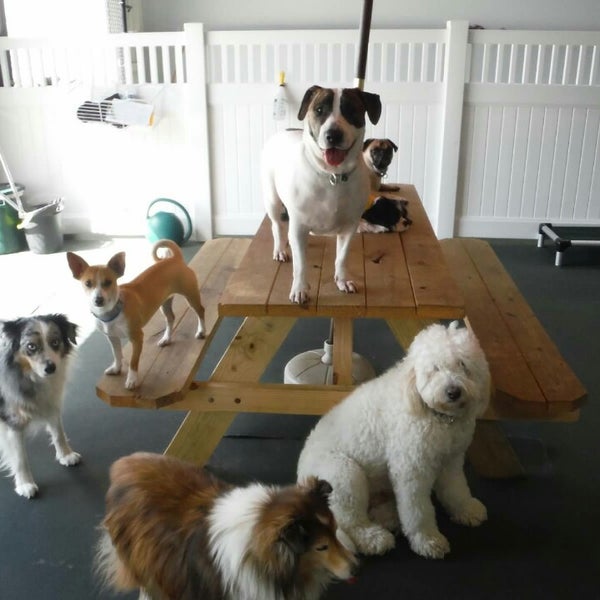 Dr. Boyd’s Veterinary Resort Irvine Veterinarian in Irvine