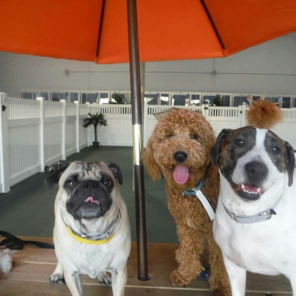 Dr. Boyd’s Veterinary Resort Irvine Veterinarian in Irvine