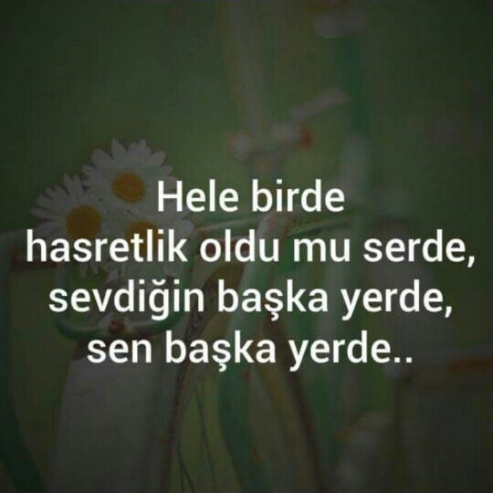 Bt Hali Dunyasi Sincan Hali Ve Yer Dosemesi Magazasi Sincankoy Ankara Turkey Facebook 1 Degerlendirme 132 Fotograf
