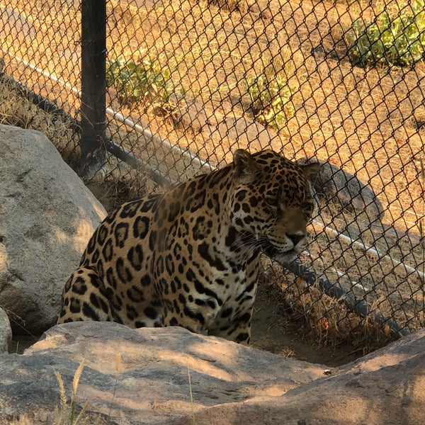 Animal Ark Zoo in Reno