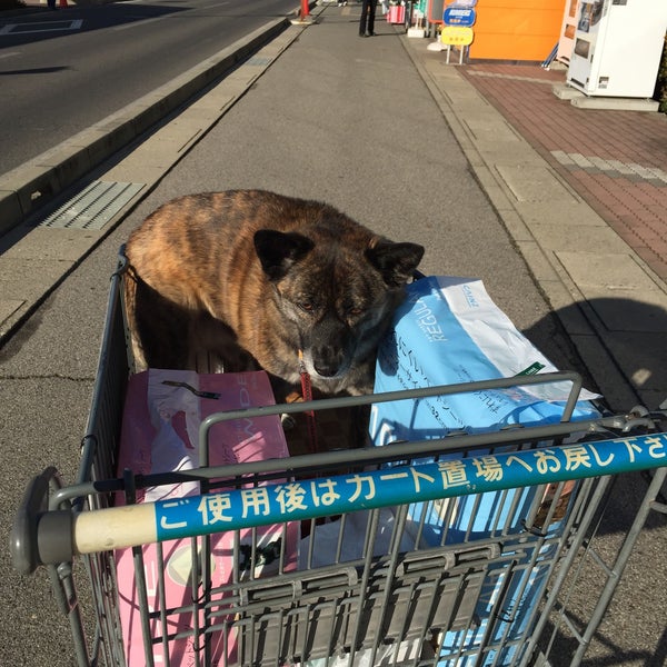 Fotos Em カインズホーム 塩尻店 広丘高出1575