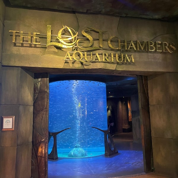 Photo taken at The Lost Chambers Aquarium by Анастасия К. on 1/2/2023