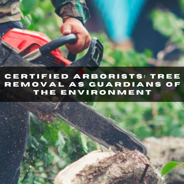 The vital #role #arborists play in tree #removal #processes, emphasizing their expertise, professionalism.Link to #blog: https://tinyurl.com/yc77d6zu