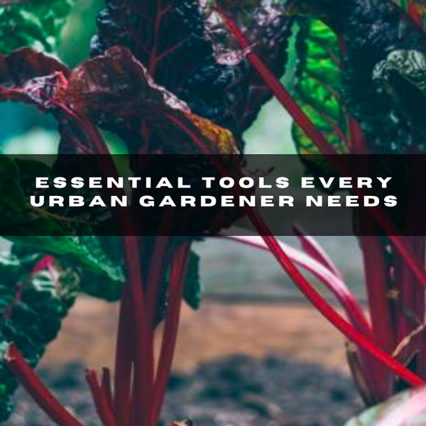 Armed with just a #handful of essentials, even a novice can #cultivate a thriving #garden amid skyscrapers. Link to #article: https://tinyurl.com/bdz9rdty