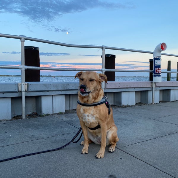 Woodmere Docks Woodmere, NY
