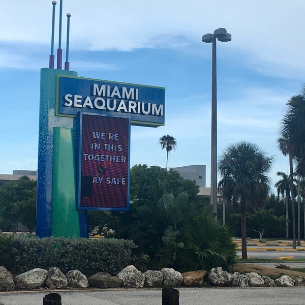7/3/2020 tarihinde Galileo O.ziyaretçi tarafından Miami Seaquarium'de çekilen fotoğraf