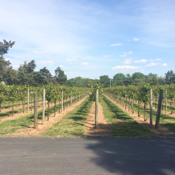 Das Foto wurde bei Buckingham Valley Vineyard &amp; Winery von Justin T. am 5/24/2015 aufgenommen