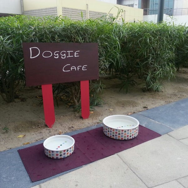 Check out the doggie café for all the thirsty neighbourhood pooches.