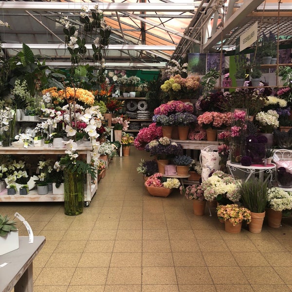 Schley's Blumenparadies - 1 tip