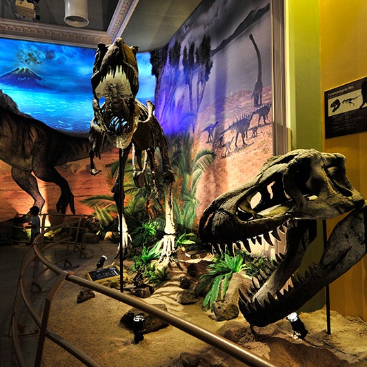 Das Foto wurde bei Jurassic Land von Jurassic Land am 7/16/2015 aufgenommen
