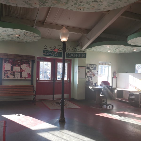 Happy Tails Pet Hotel and Playland Pet Service in Saint Ann