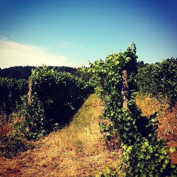 รูปภาพถ่ายที่ REX HILL Vineyards &amp; Winery โดย Josh L. เมื่อ 8/10/2013