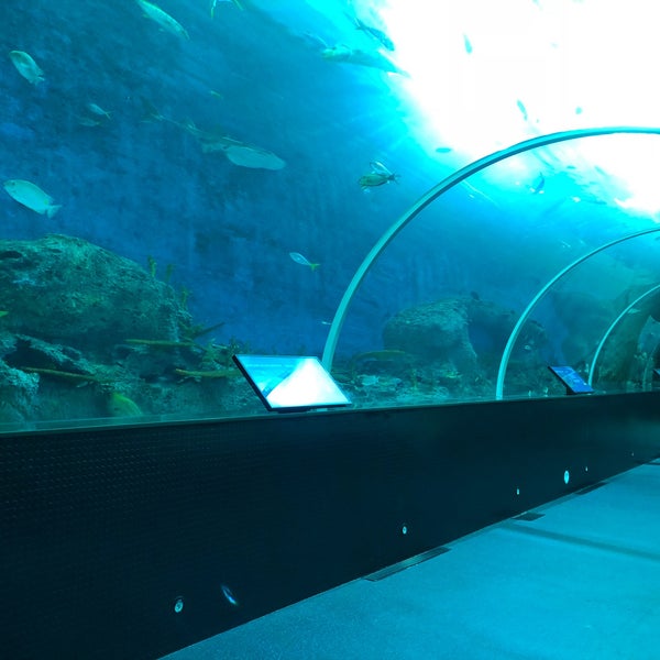 Sea View Aquarium (Now Closed) Pet Supplies Store in Sengkang