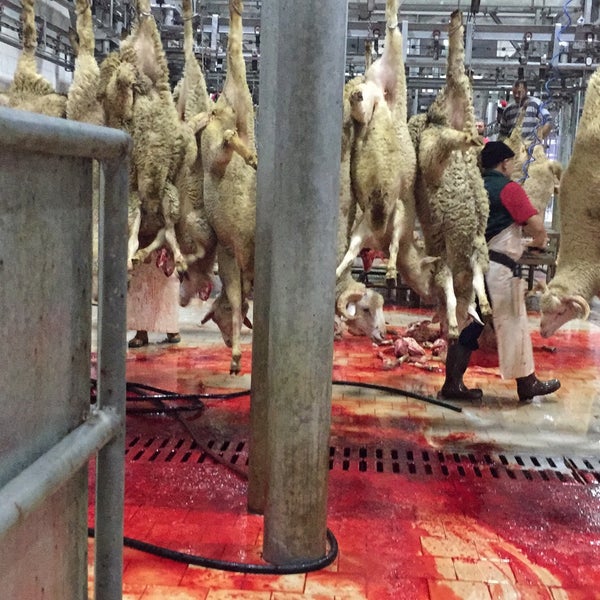 Göbel Aydoğan Kardeşler Et Entegre Tesisleri Susurluk�ta Fabrika