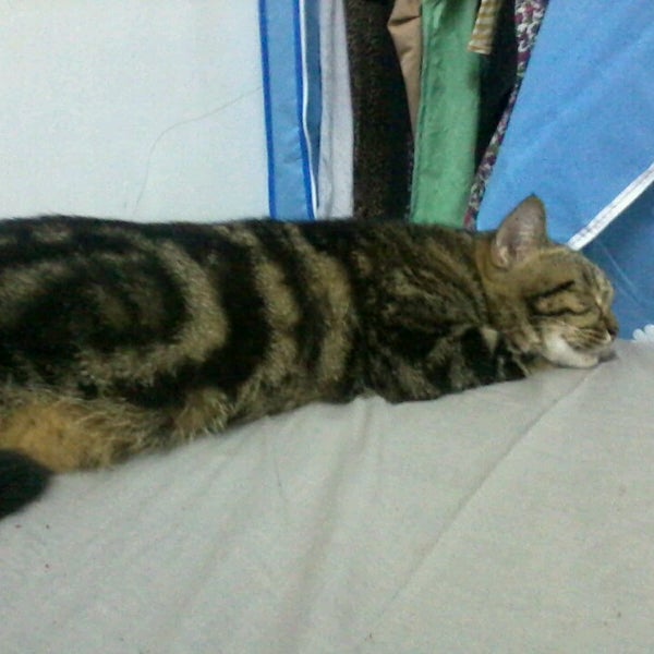 Photos at Bilik Sempit Di Bukit Beruang - 9 visitors