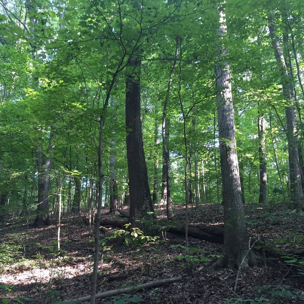 Waverly Park 4800 Waverly Park Rd