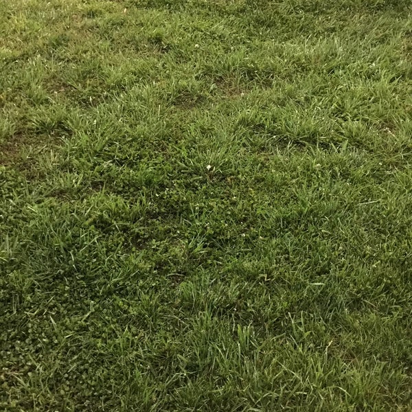 Cooper Soccer Complex Soccer Stadium