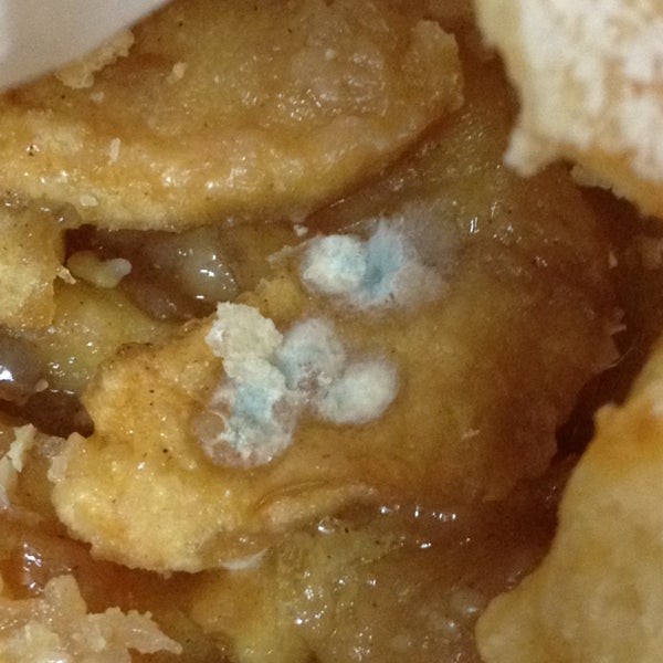 Vittoria's Italian Coffee & Pastry Daytona Beach Shores, FL