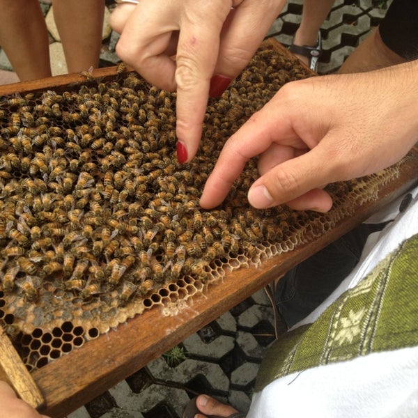 Foto tirada no(a) Big Bee Farm (Pattaya) por Alexander S. em 1/28/2013