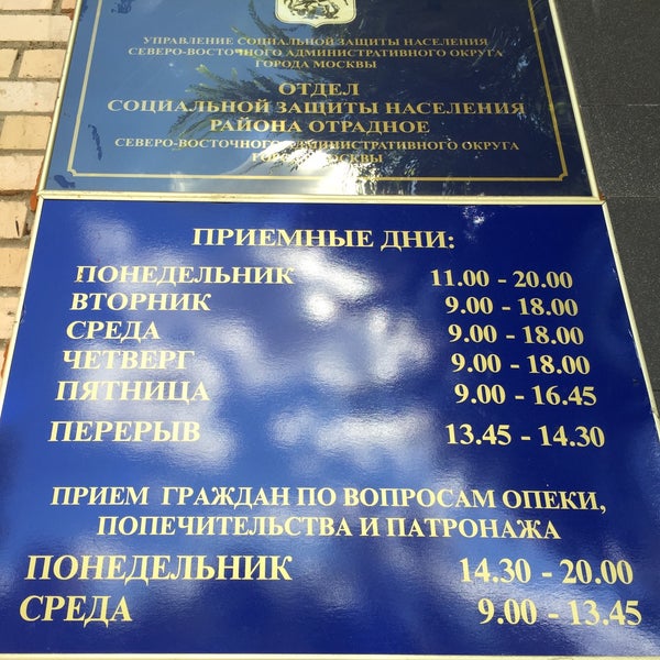 Приморский центр социального обслуживания населения кцсон. Соцзащита отделы. Номер телефона соцзащиты приморский. Департамент труда и социального развития приморского края. Пионерская 1 владивосток соцзащита.