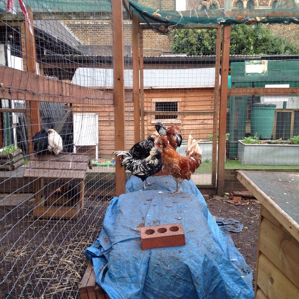 Photo taken at Vauxhall City Farm by Emma A. on 11/17/2017