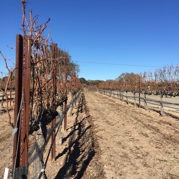 Foto tirada no(a) Firestone Vineyard &amp; Winery por Daniel G. em 12/31/2015