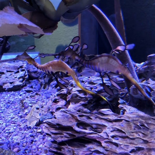 Photo taken at The Florida Aquarium by P S. on 9/5/2022