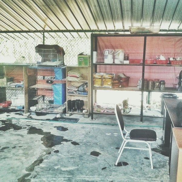 Photos at Pusat Perlindungan Kucing Putrajaya - Pet Service in 