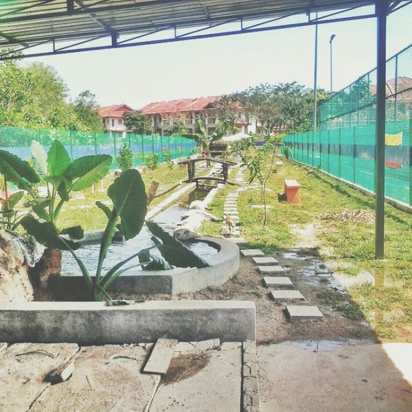 Pusat Perlindungan Kucing Putrajaya Pet Service In Putrajaya