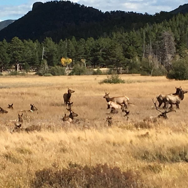 Upper Meadow