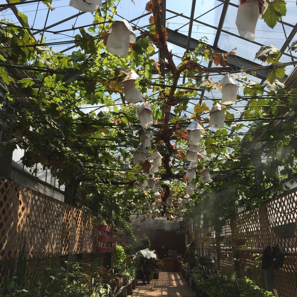 Photos At 名古屋園芸 東区 名古屋市 愛知県