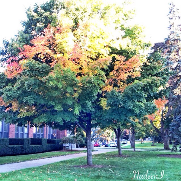 Das Foto wurde bei Central Michigan University von Nadeen🕊 am 9/28/2014 aufgenommen