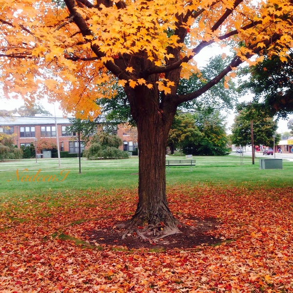 Das Foto wurde bei Central Michigan University von Nadeen🕊 am 10/20/2013 aufgenommen