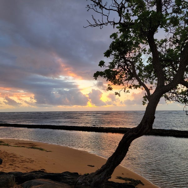 Baby Beach Beach in Kapaa