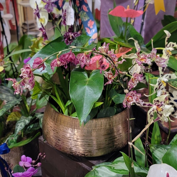 Safeway 5 tips from 840 visitors