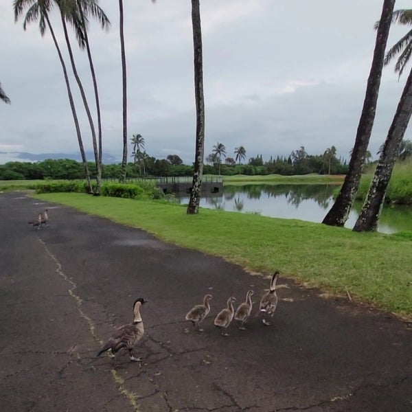 Foto diambil di Timbers Kauai Ocean Club &amp; Residences oleh erny pada 1/21/2024