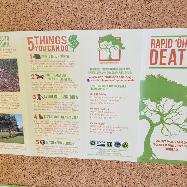 State office Building Lihue Lihue, HI