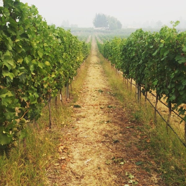 Serendipity Winery 1 Tip