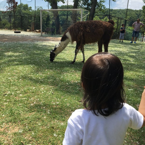 Çocuklar için güzel bir hayvanat bahçesi