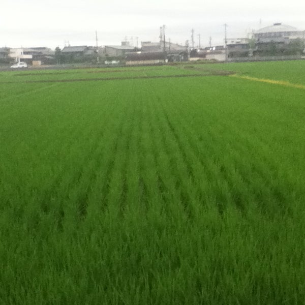 Photos At フラワーショップ くりの木 三重県三重郡朝日町 日本 Photos At フラワーショップ くりの木 三重県三重郡朝日町 日本