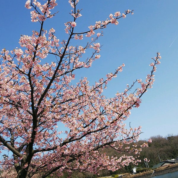 如意輪寺公園 高松市 香川県 如意輪寺公園 高松市 香川県