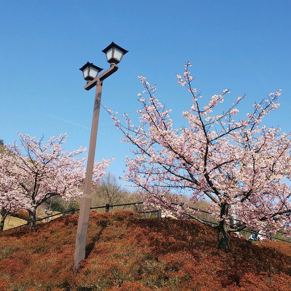 如意輪寺公園 高松市 香川県 如意輪寺公園 高松市 香川県