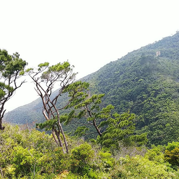 Photos At ジュゴンの見える丘 24 Visitors