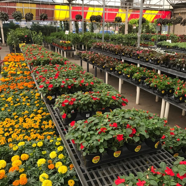 Houston Garden Centers 12 Lazy Brook Timbergrove 4 tips from 295